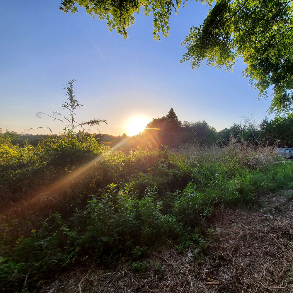 bushcraft campsite minami-soma fukushima  japan
