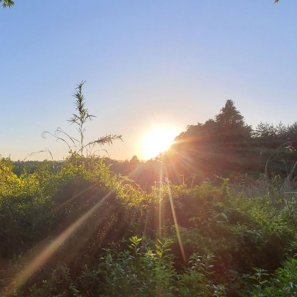 bushcraft campsite minami-soma fukushima  japan