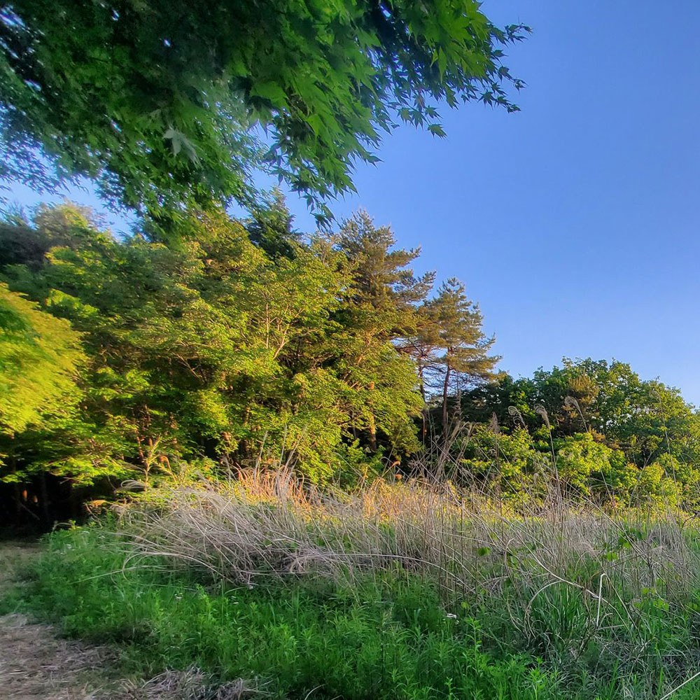 bushcraft campsite minami-soma fukushima  japan