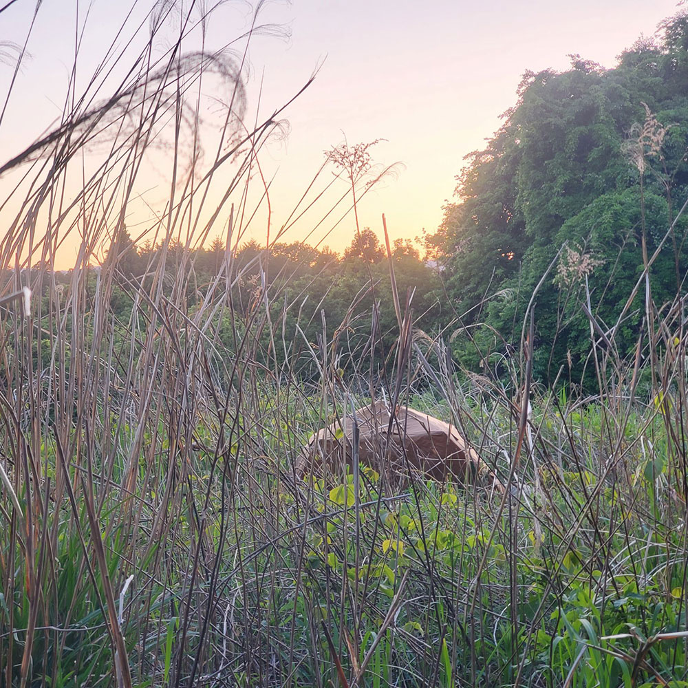bushcraft campsite minami-soma fukushima  japan
