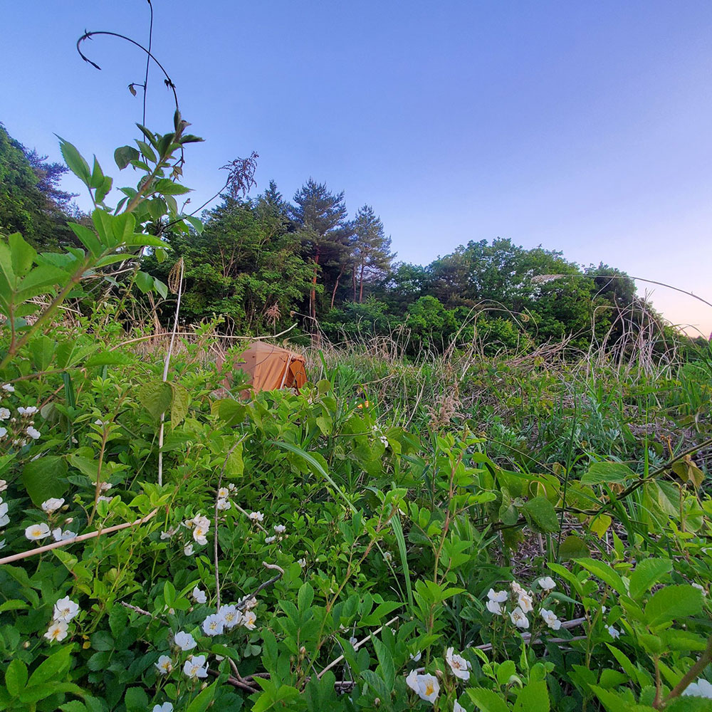 bushcraft campsite minami-soma fukushima  japan