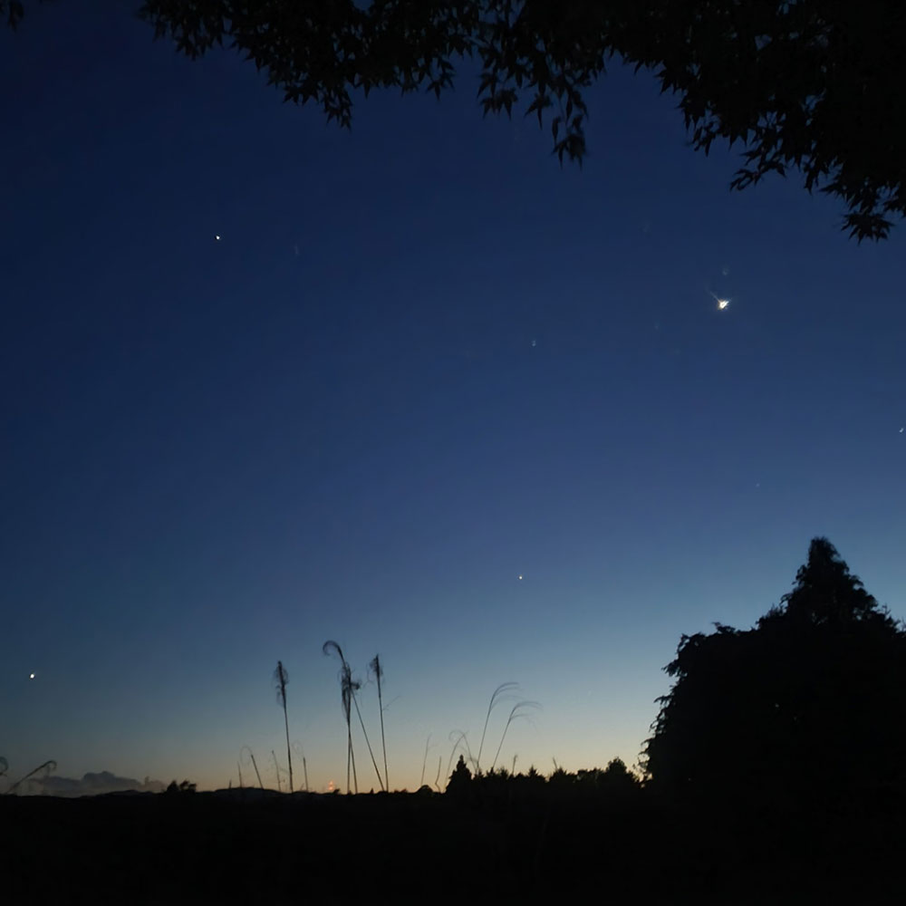 bushcraft campsite minami-soma fukushima  japan