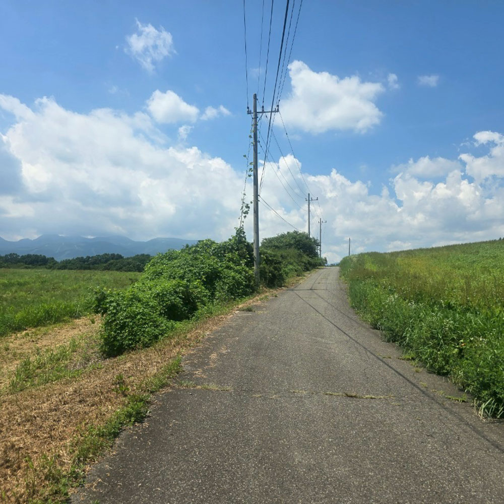 bushcraft campsite nasukogen tochigi japan