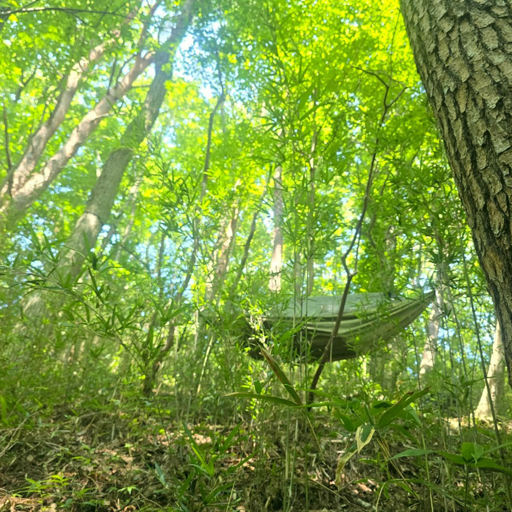 bushcraft campsite nasukogen tochigi japan
