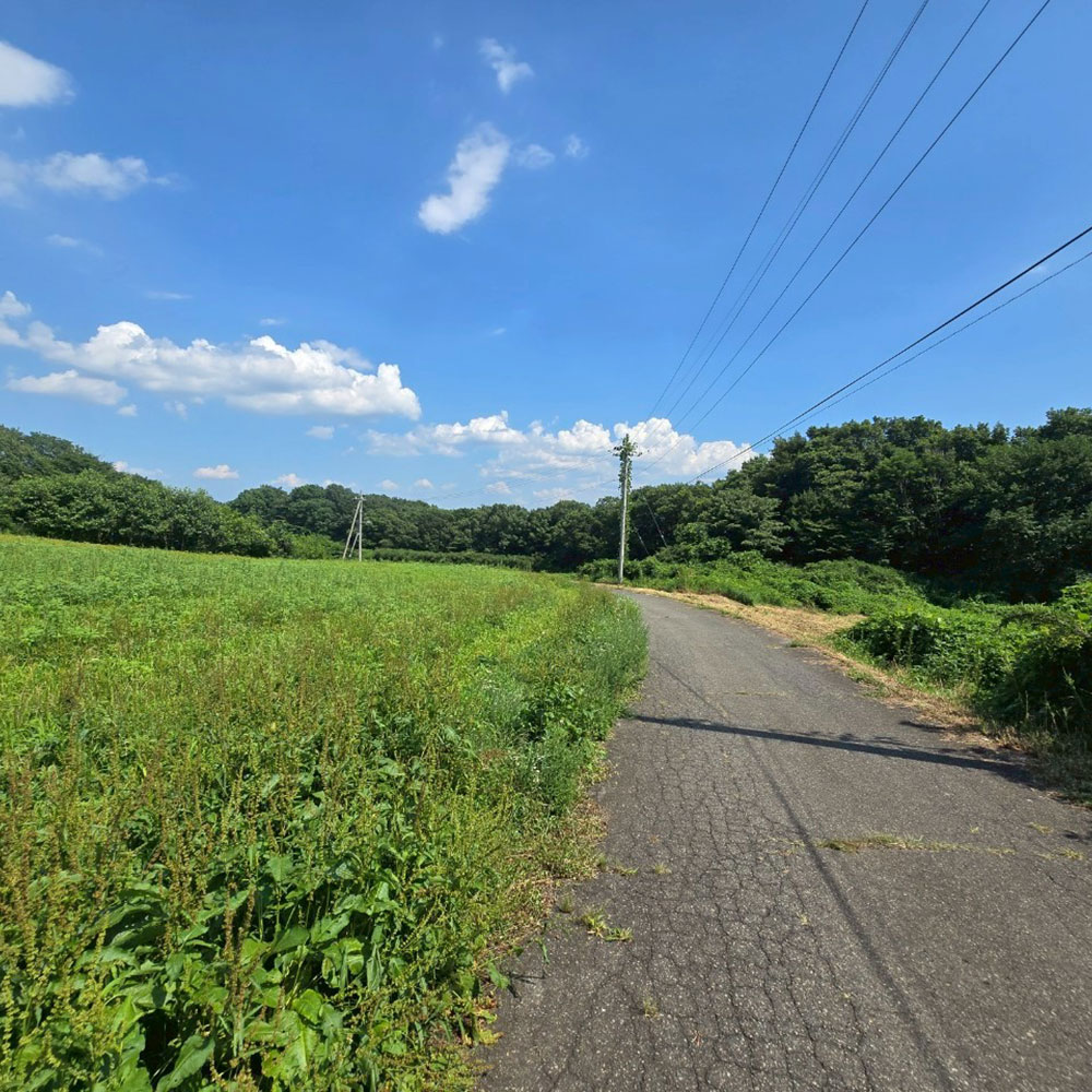 bushcraft campsite nasukogen tochigi japan