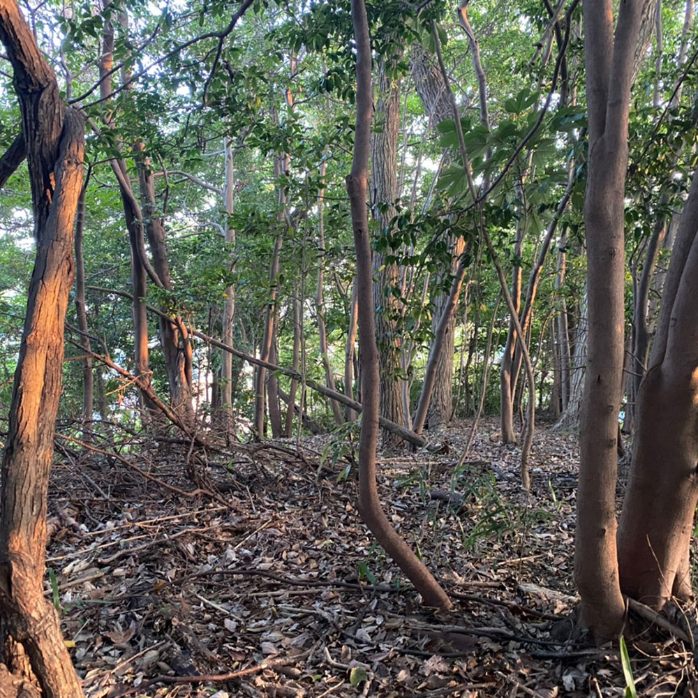 bushcraft campsite nishigo fukushima  japan