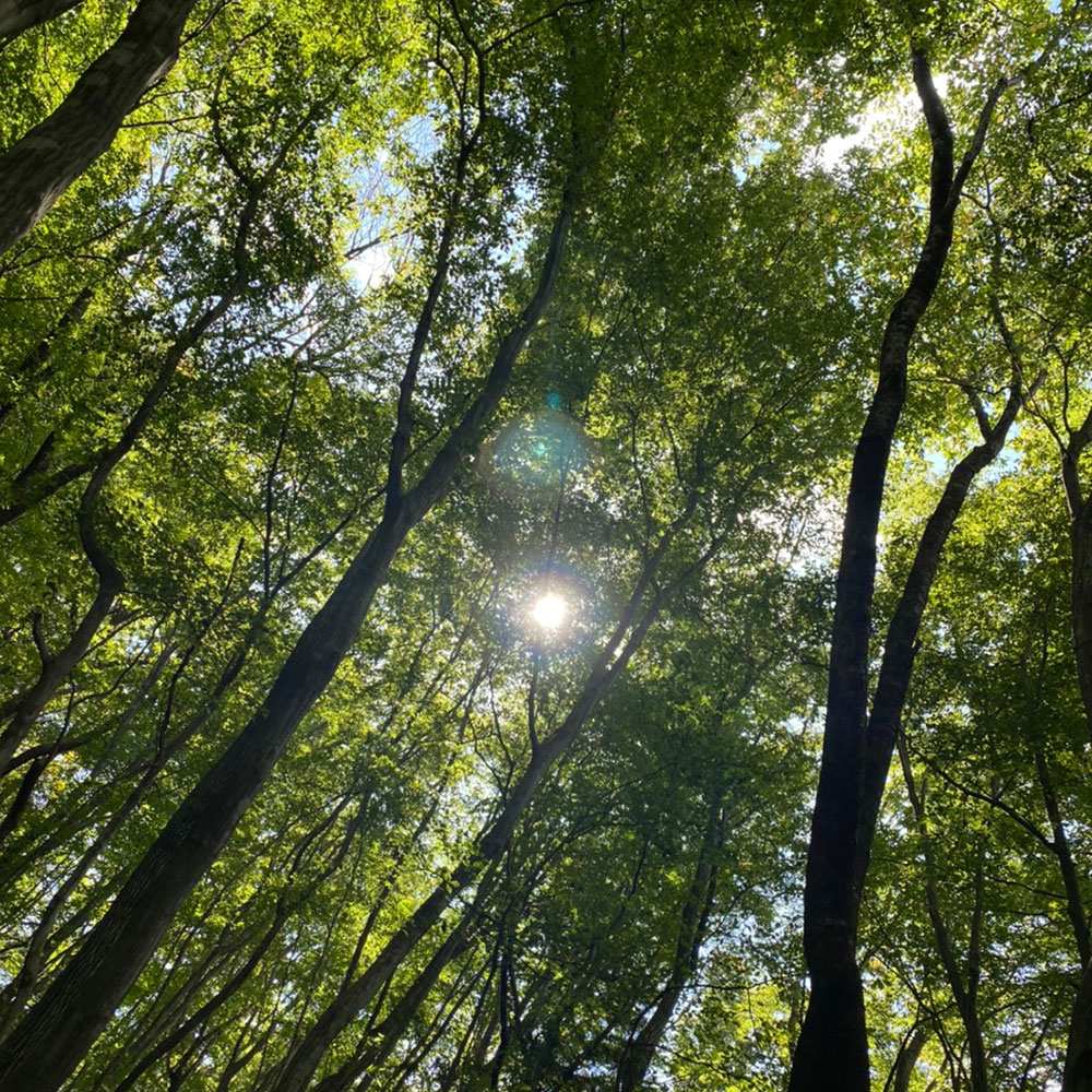 bushcraft campsite nishigo fukushima  japan