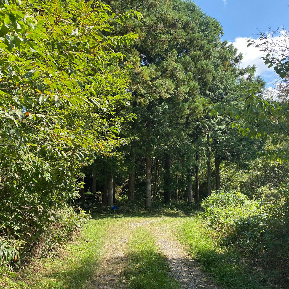 bushcraft campsite nishigo fukushima  japan