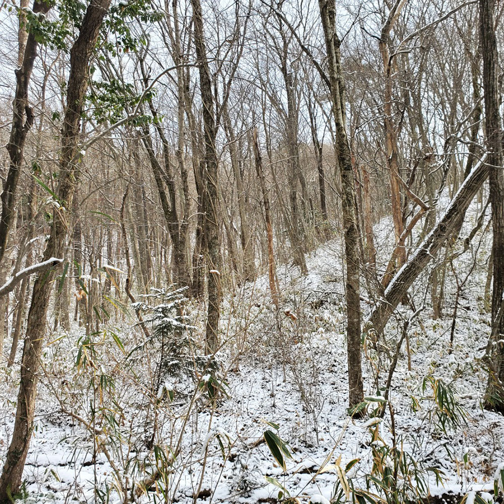 bushcraft campsite nishigo fukushima  japan