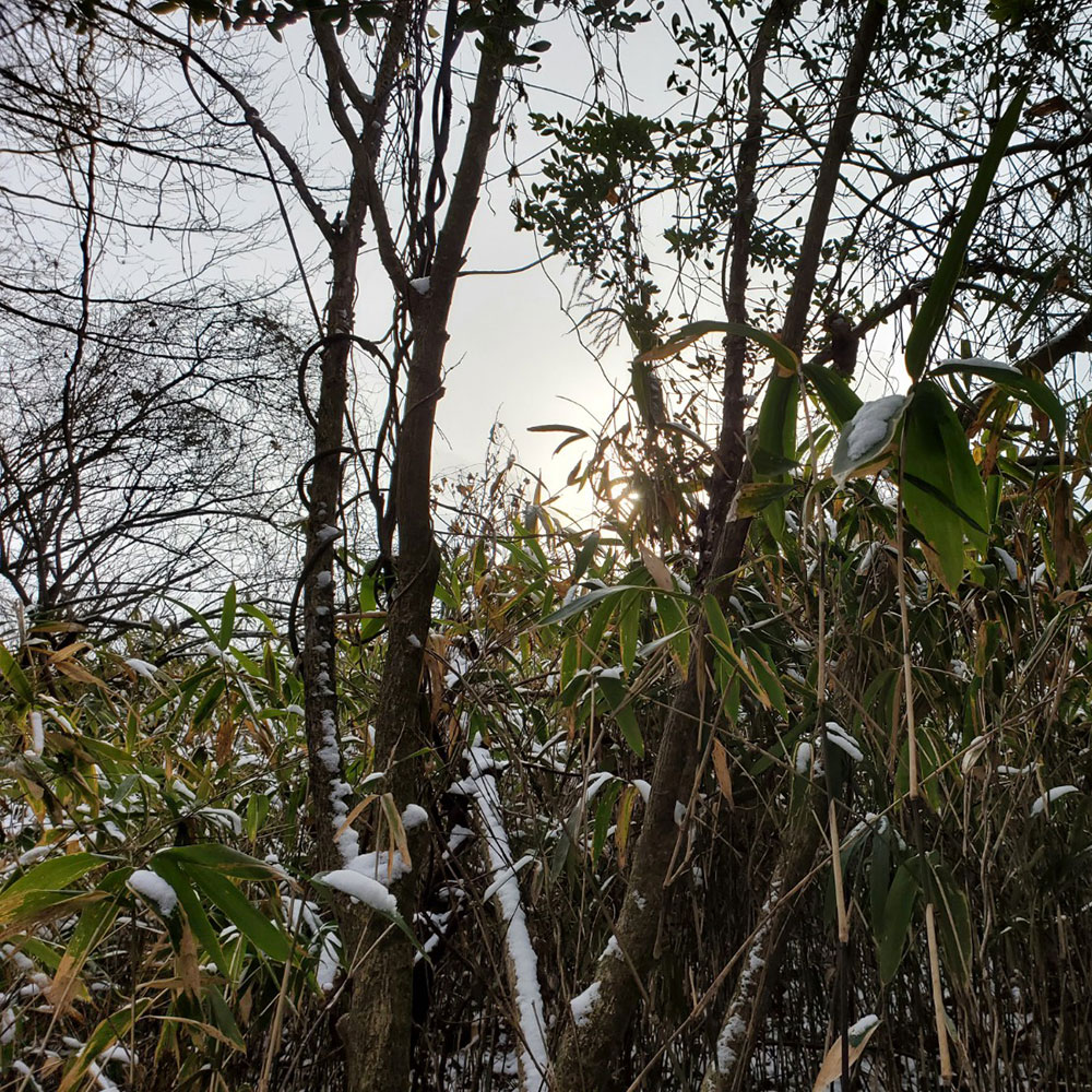 bushcraft campsite nishigo fukushima  japan