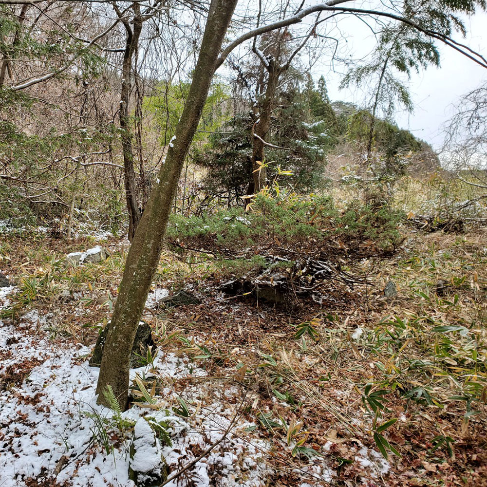 bushcraft campsite nishigo fukushima  japan