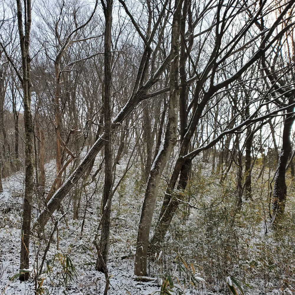 bushcraft campsite nishigo fukushima  japan