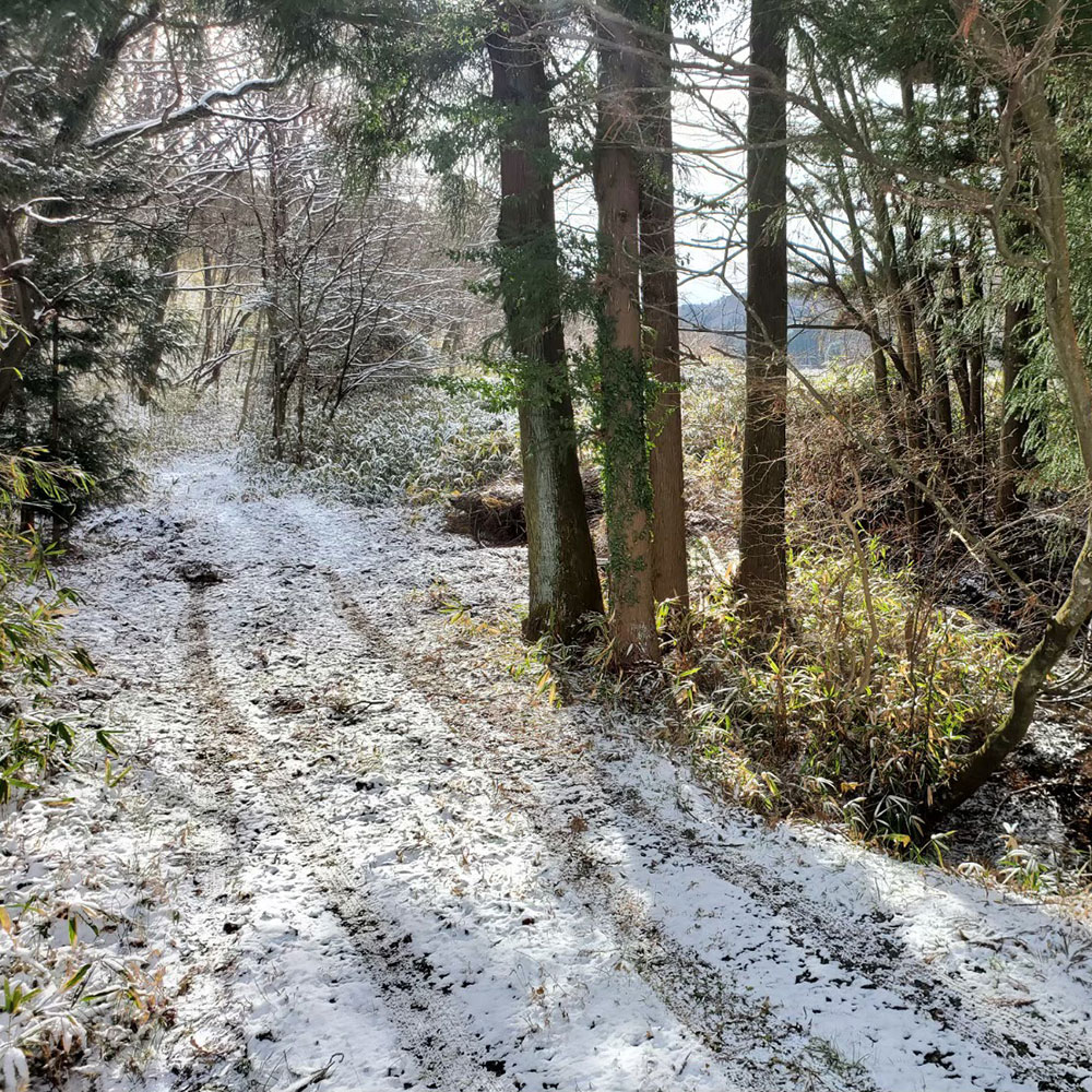 bushcraft campsite nishigo fukushima  japan
