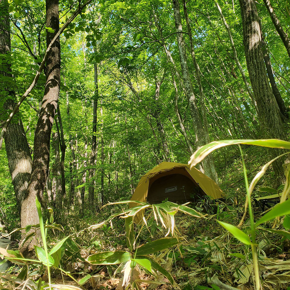 bushcraft campsite nishigo fukushima  japan