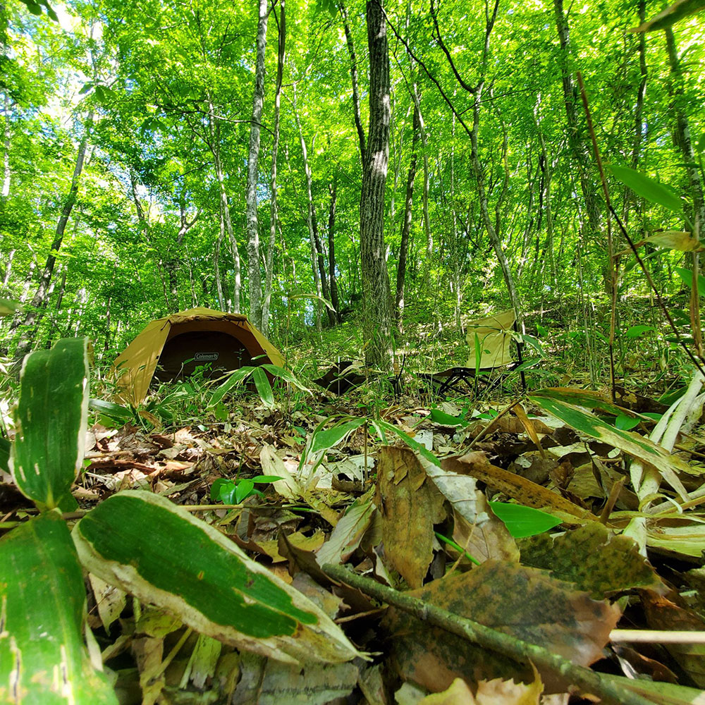 bushcraft campsite nishigo fukushima  japan