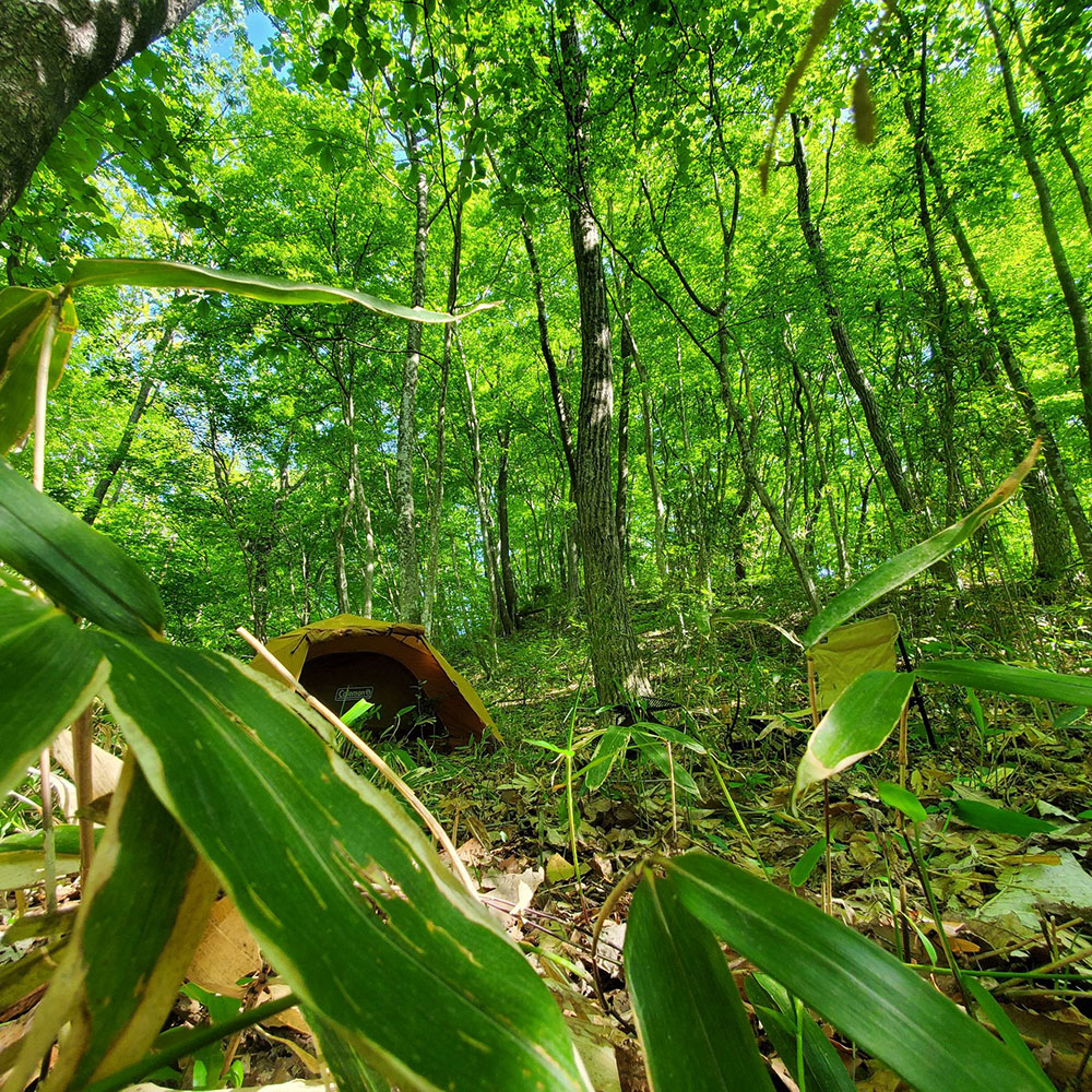 bushcraft campsite nishigo fukushima  japan