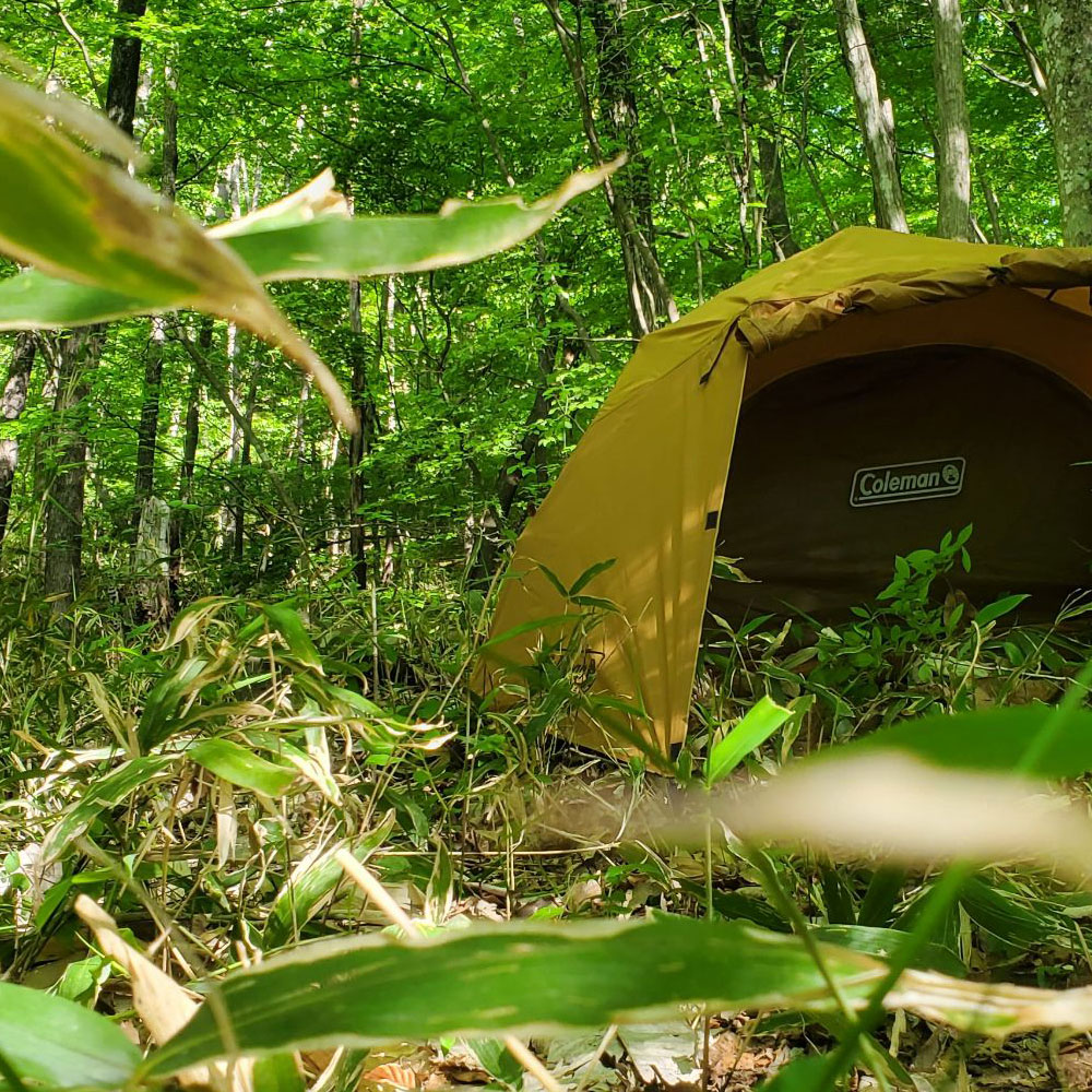 bushcraft campsite nishigo fukushima  japan