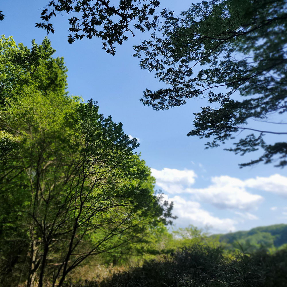 bushcraft campsite nishigo fukushima  japan