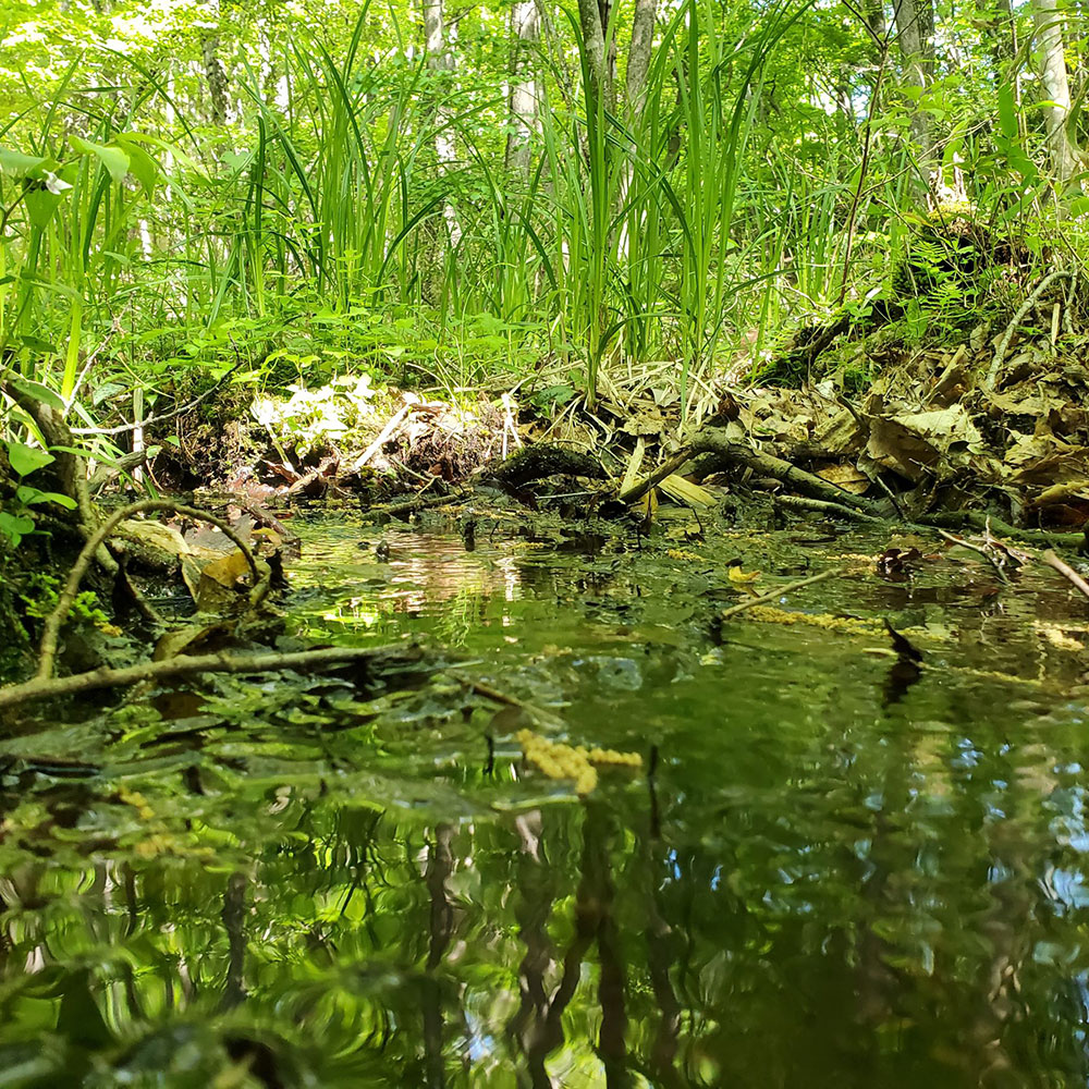 bushcraft campsite nishigo fukushima  japan