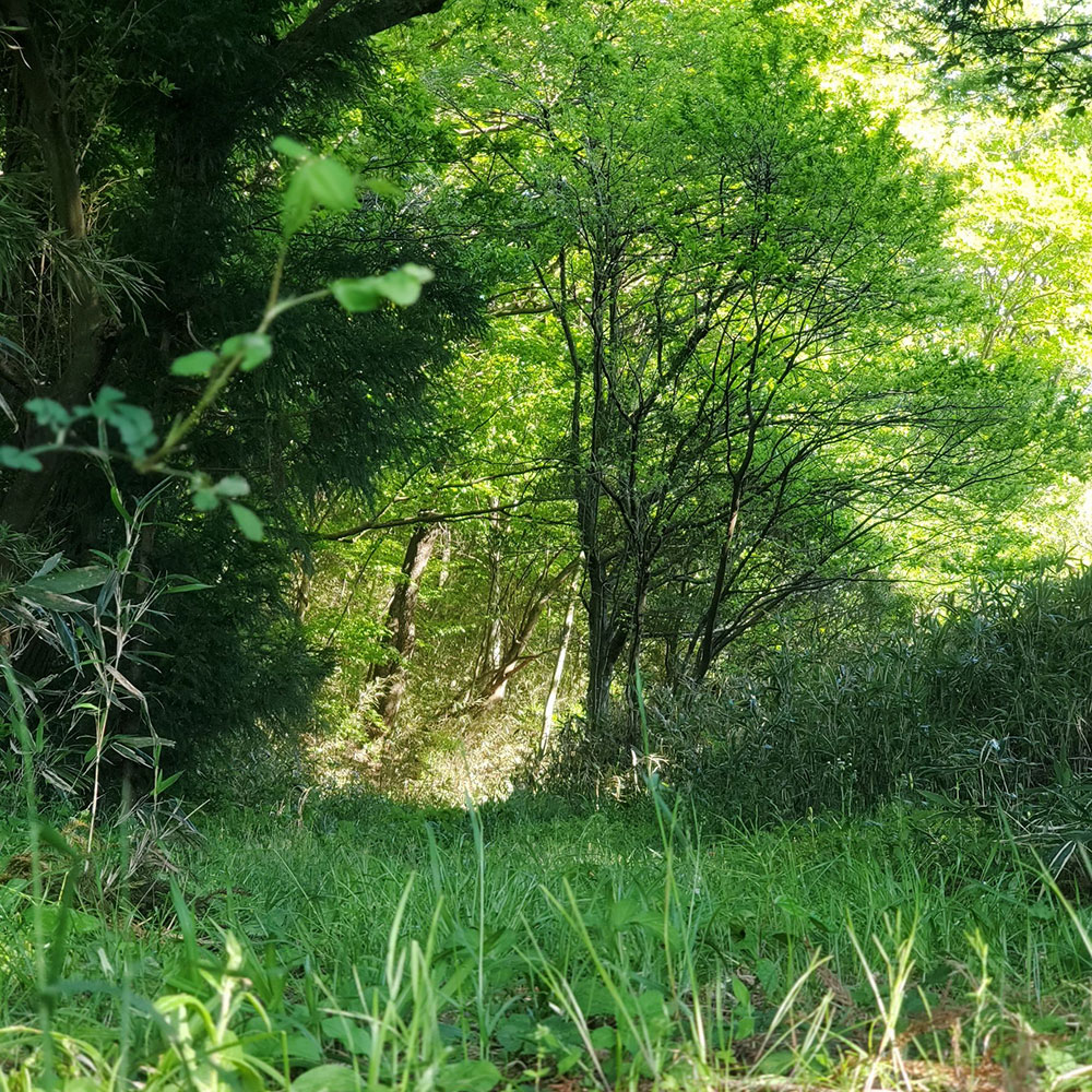 bushcraft campsite nishigo fukushima  japan