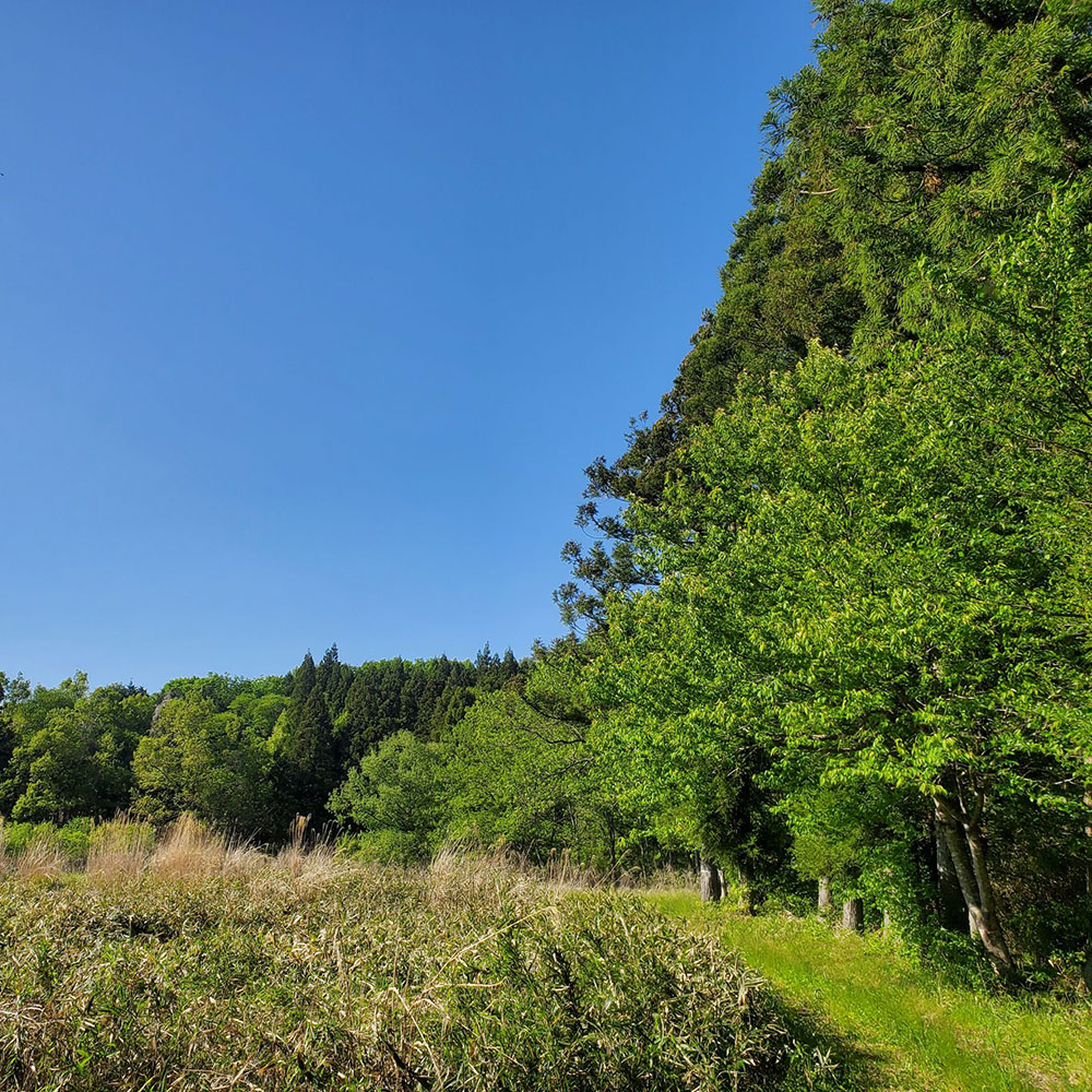 bushcraft campsite nishigo fukushima  japan