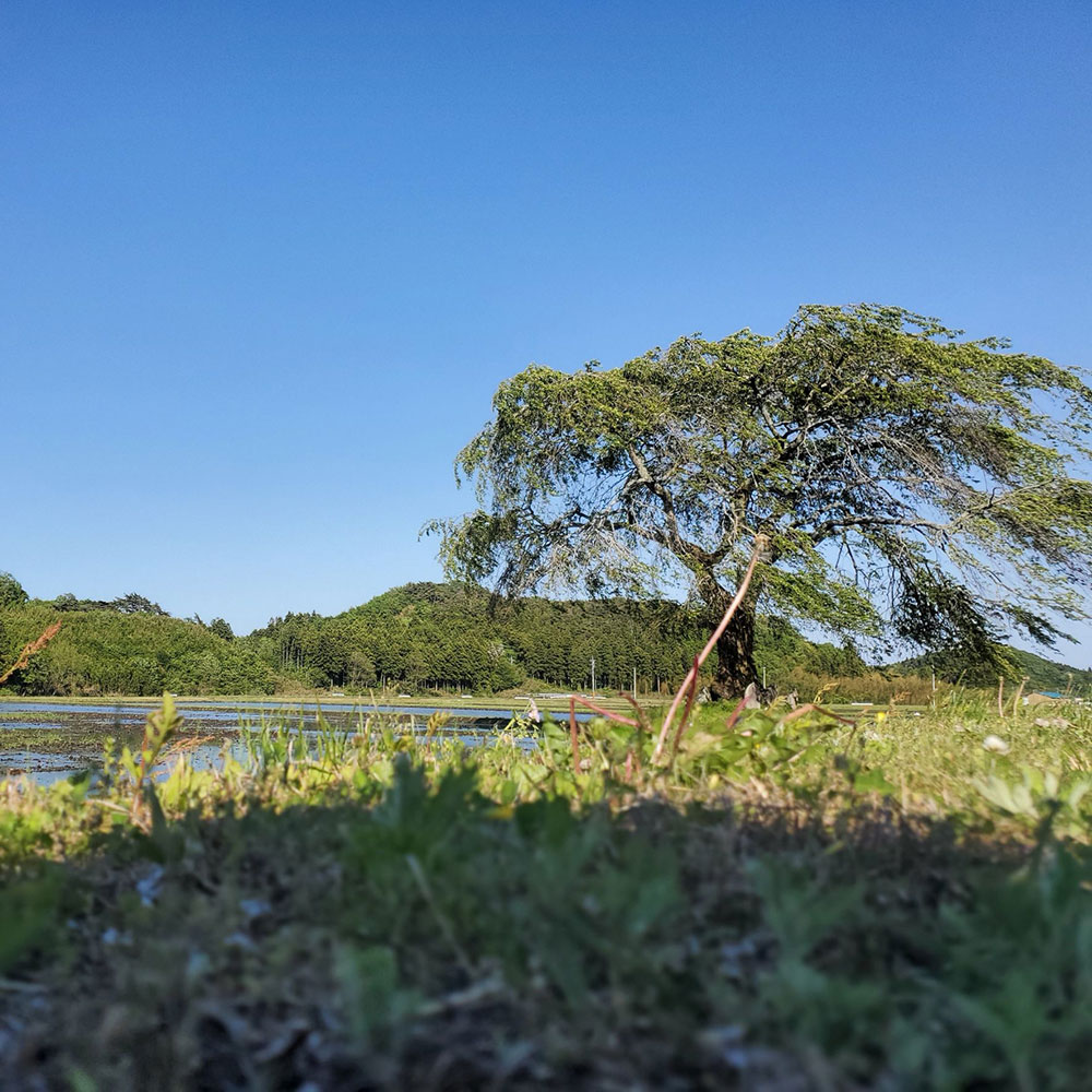 bushcraft campsite nishigo fukushima  japan