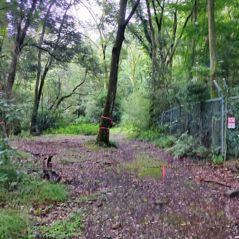 bushcraft campsite ohiradai  hakone kanagawa japan