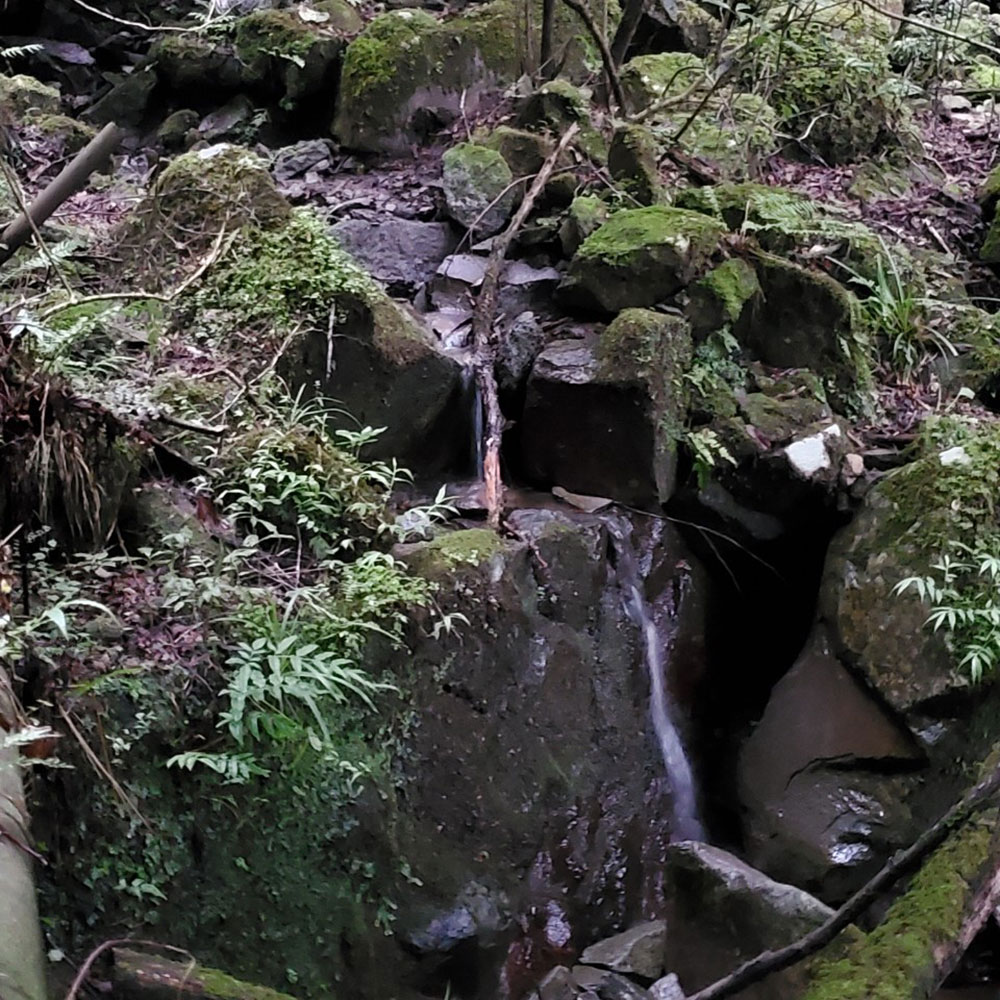 bushcraft campsite ohiradai  hakone kanagawa japan