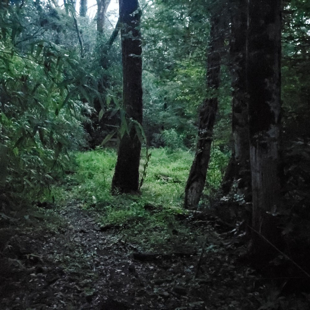 bushcraft campsite ohiradai  hakone kanagawa japan