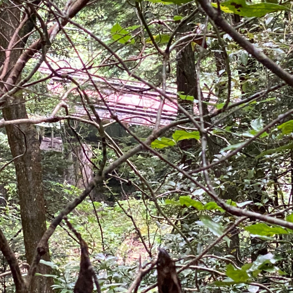 bushcraft campsite ohiradai  hakone kanagawa japan