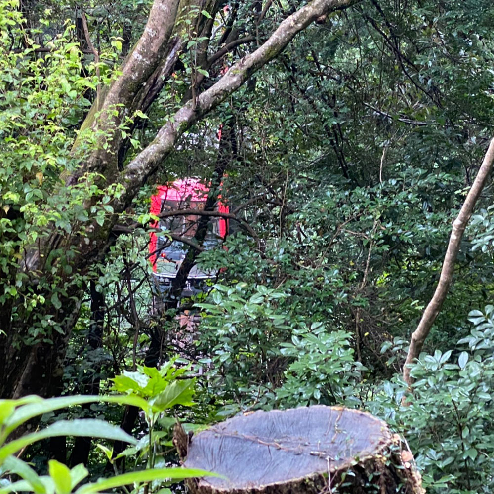 bushcraft campsite ohiradai  hakone kanagawa japan
