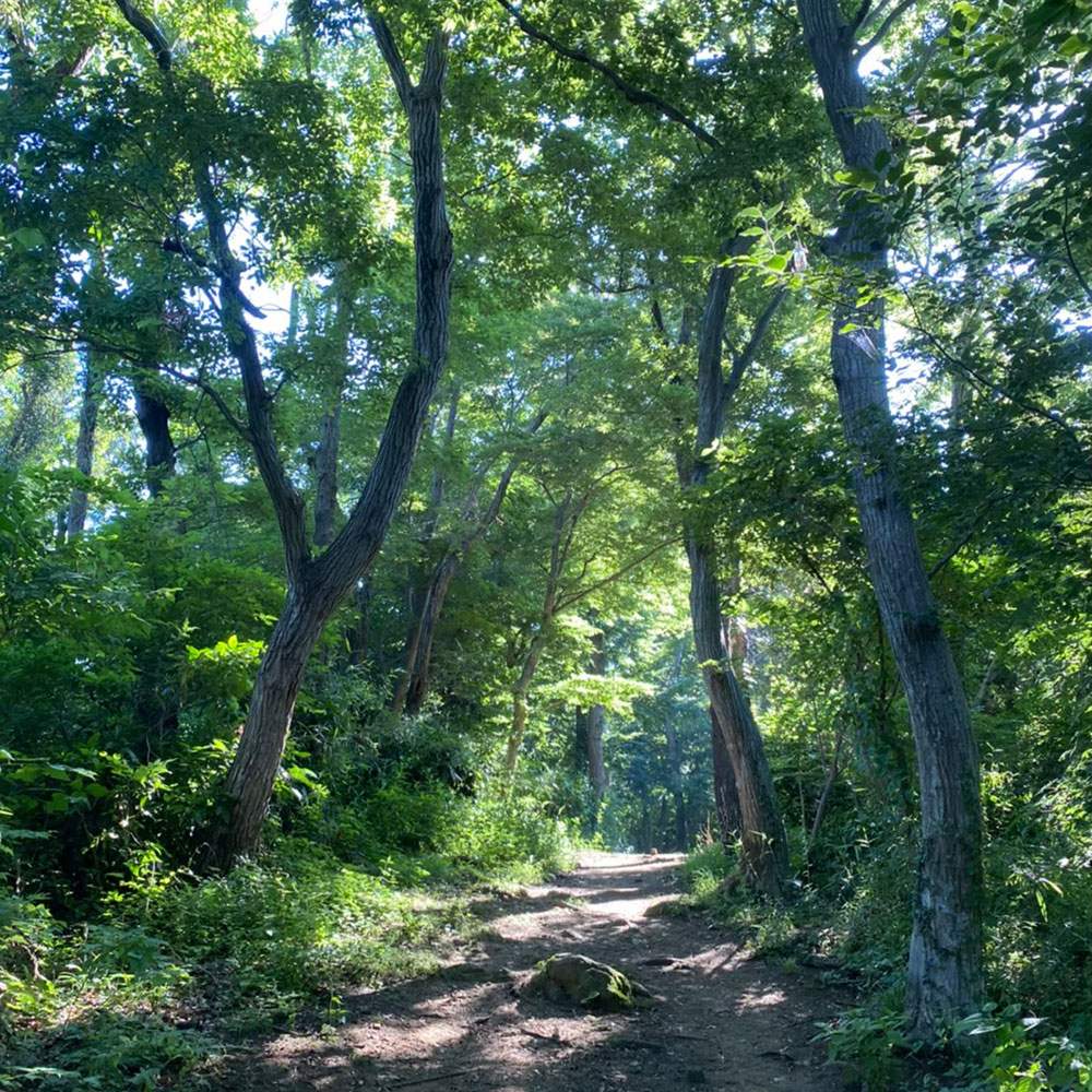 bushcraft campsite oiso shonan  kanagawa japan