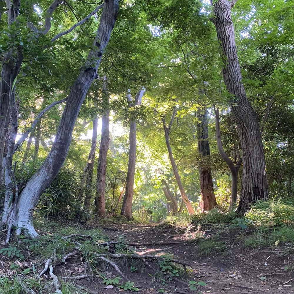 bushcraft campsite oiso shonan  kanagawa japan