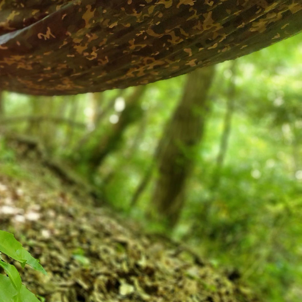 bushcraft campsite oiso shonan  kanagawa japan