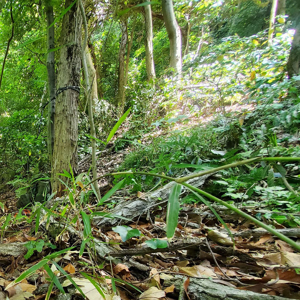bushcraft campsite oiso shonan  kanagawa japan