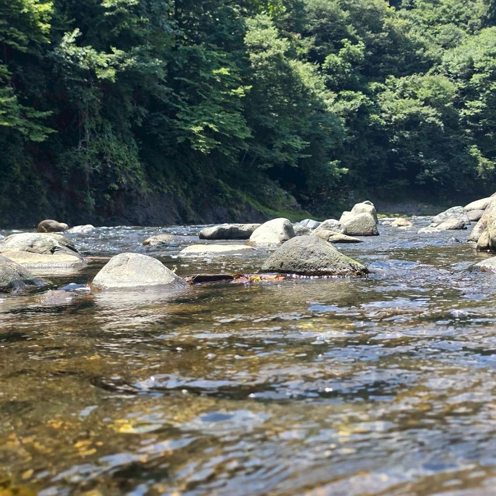 bushcraft campsite otsuki yamanashi japan