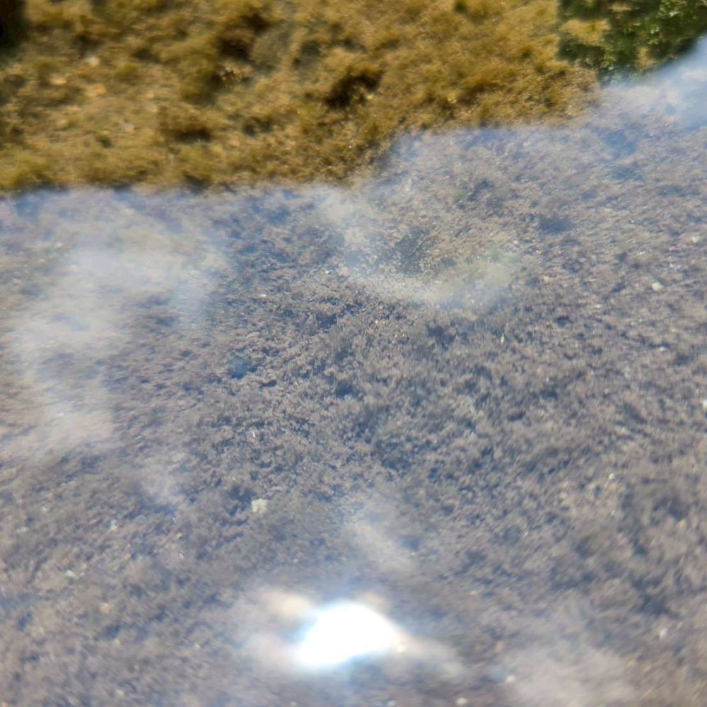 bushcraft campsite otsuki yamanashi japan