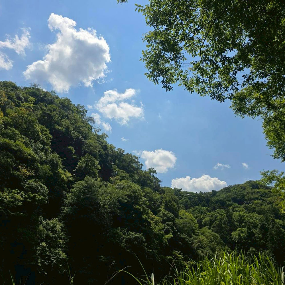 bushcraft campsite otsuki yamanashi japan