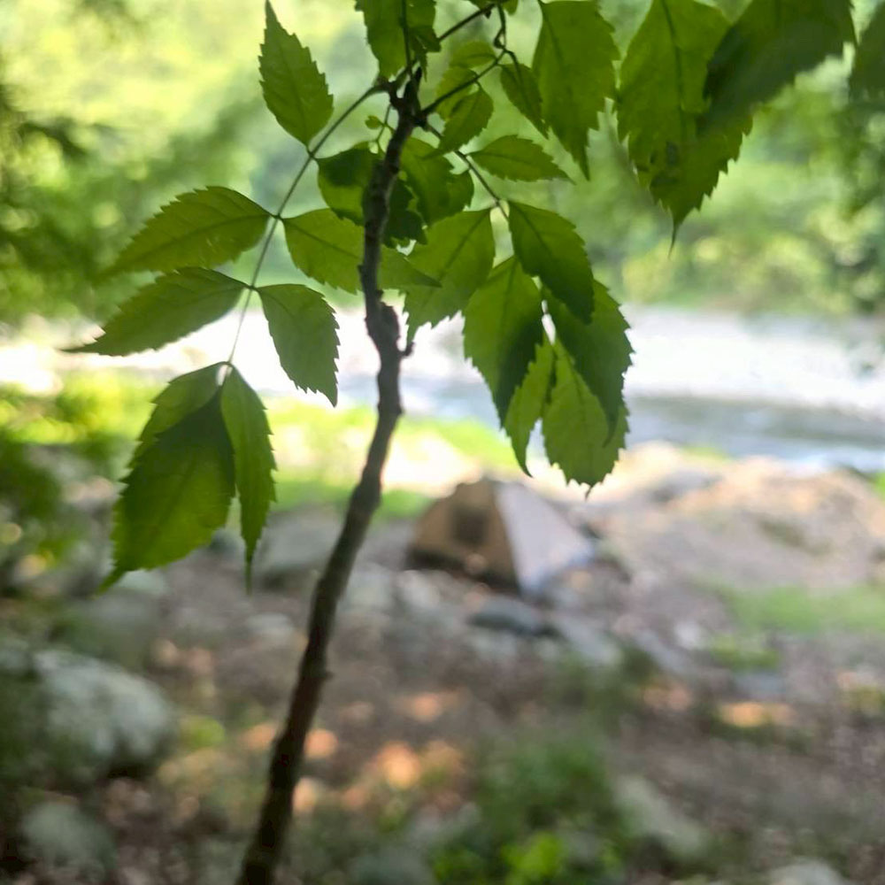 bushcraft campsite otsuki yamanashi japan