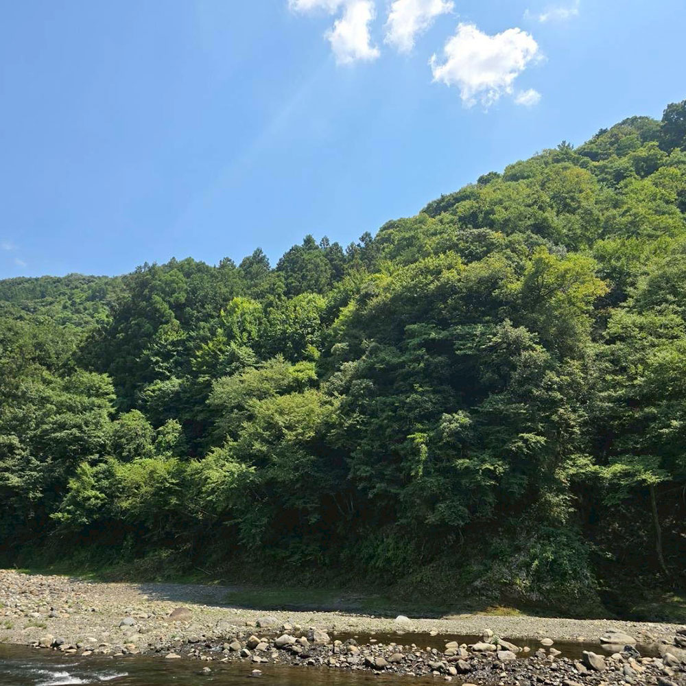 bushcraft campsite otsuki yamanashi japan
