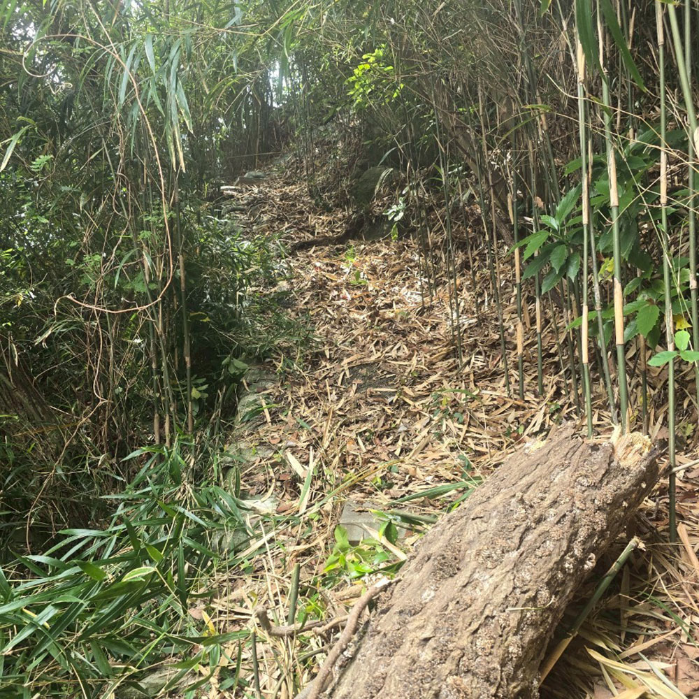 bushcraft campsite sajima yokosuka kanagawa japan