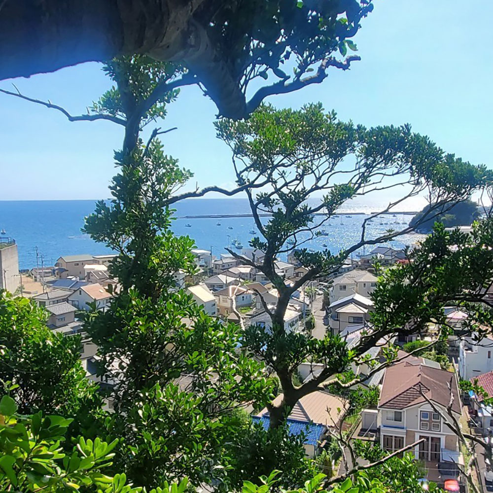 bushcraft campsite sajima yokosuka kanagawa japan