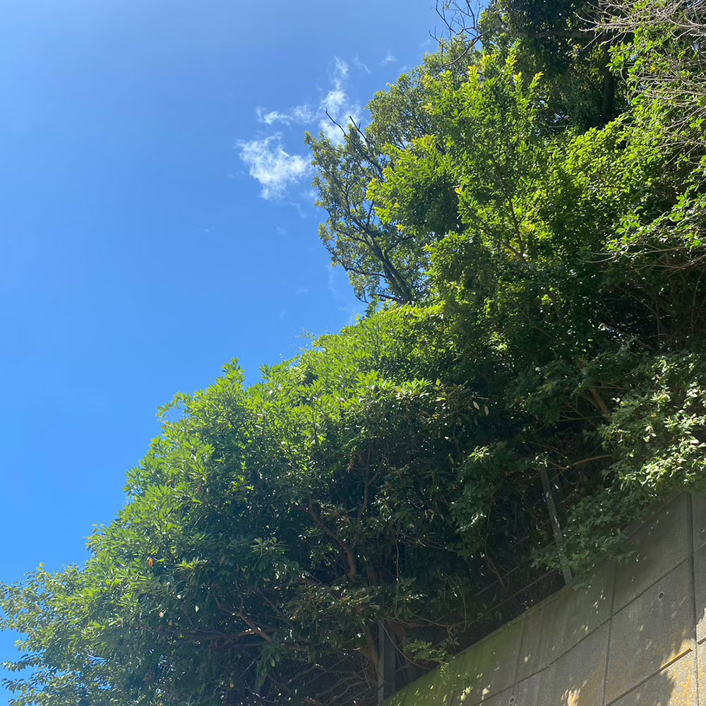 bushcraft campsite sajima yokosuka kanagawa japan