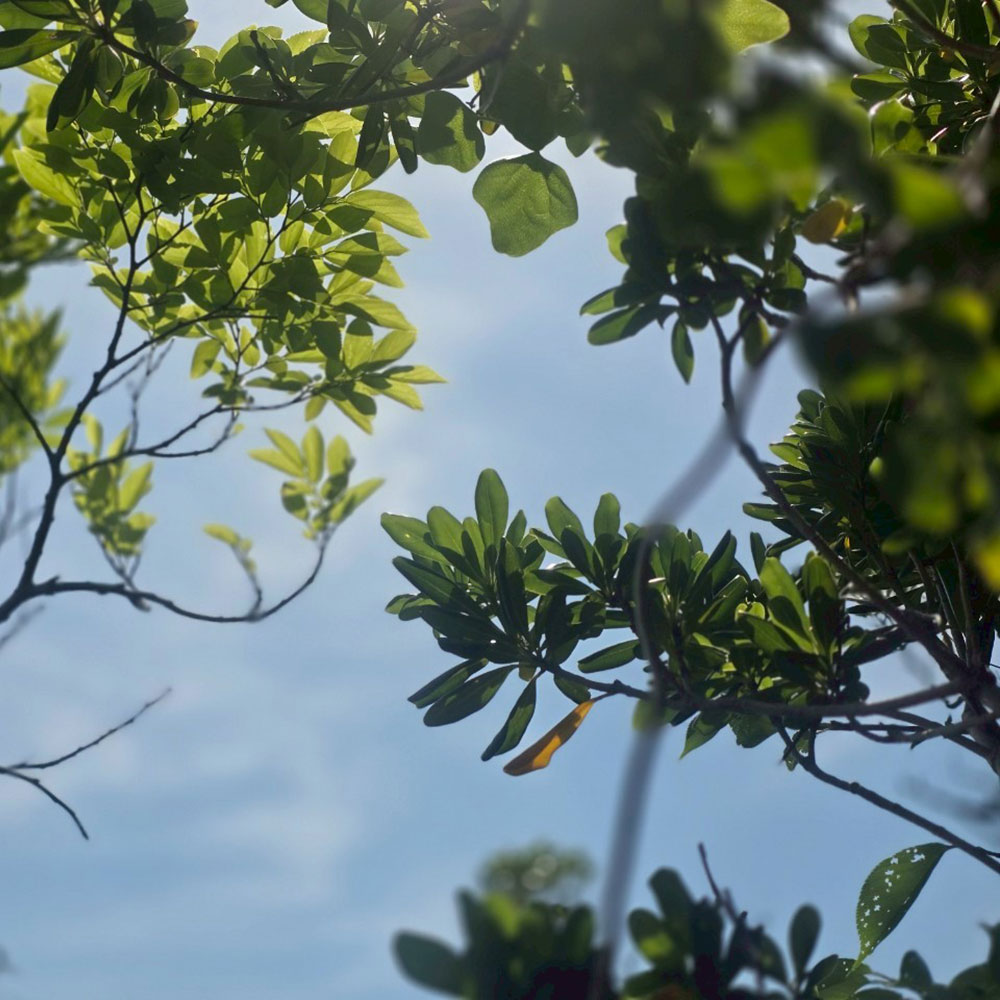 bushcraft campsite sajima yokosuka kanagawa japan