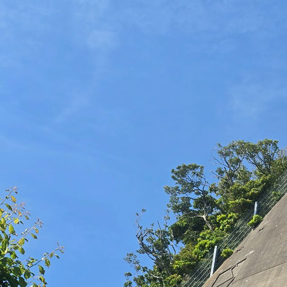 bushcraft campsite sajima yokosuka kanagawa japan