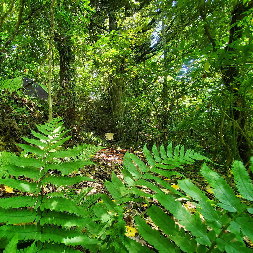 bushcraft campsite shonan takatori yokosuka kanagawa japan