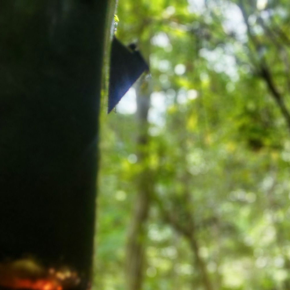 bushcraft campsite shonan takatori yokosuka kanagawa japan