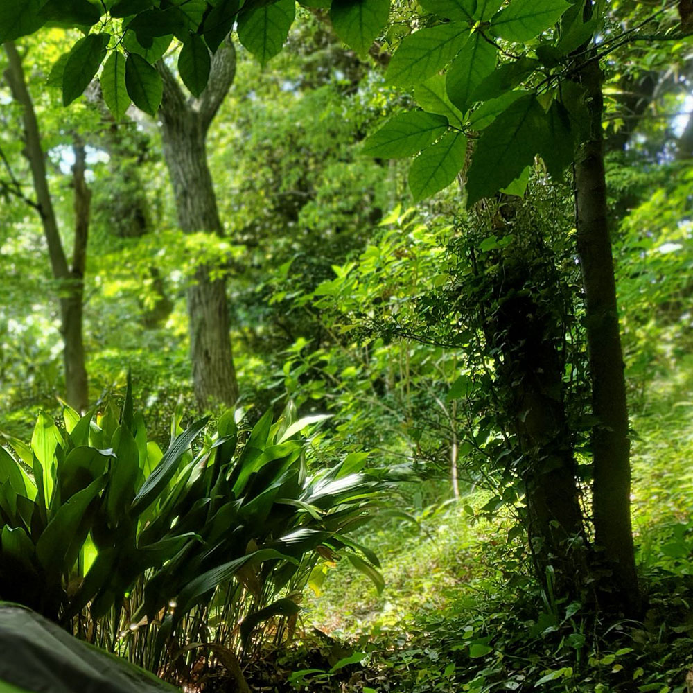 bushcraft campsite shonan takatori yokosuka kanagawa japan