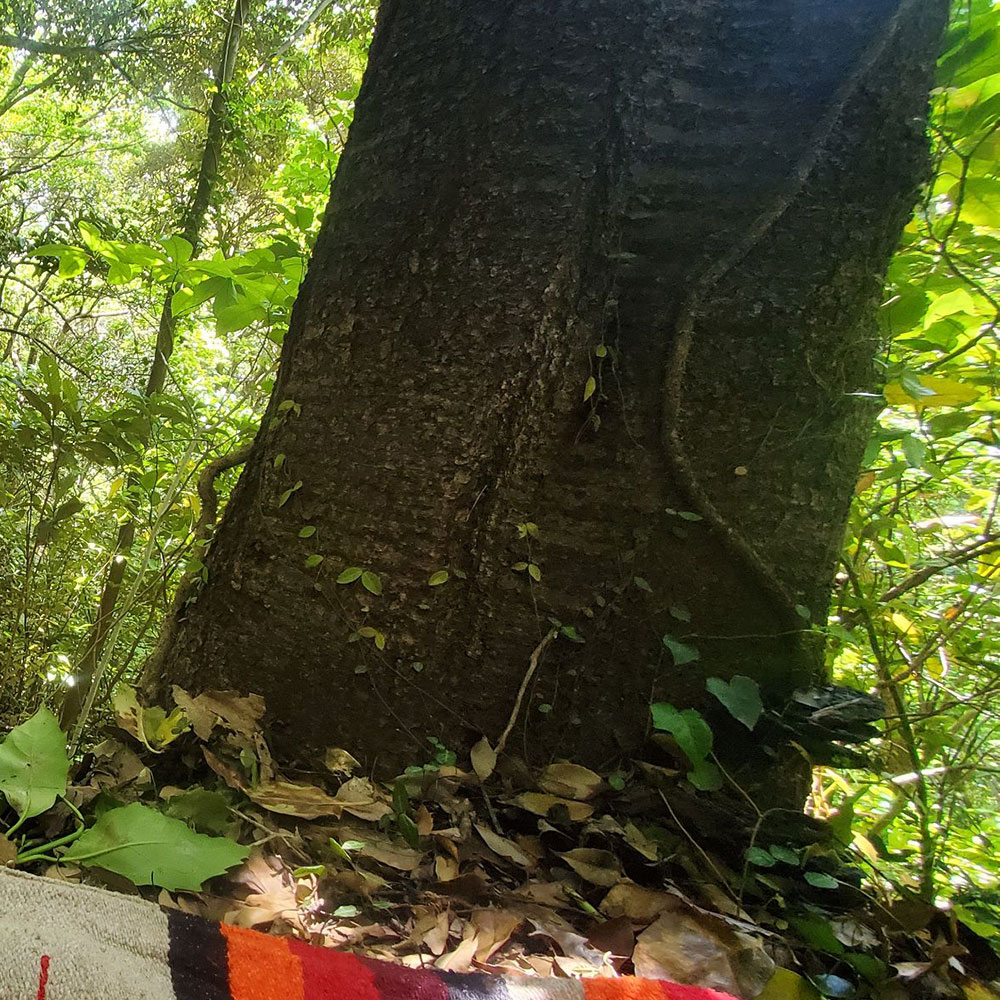bushcraft campsite shonan takatori yokosuka kanagawa japan