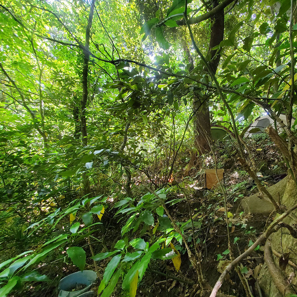 bushcraft campsite shonan takatori yokosuka kanagawa japan
